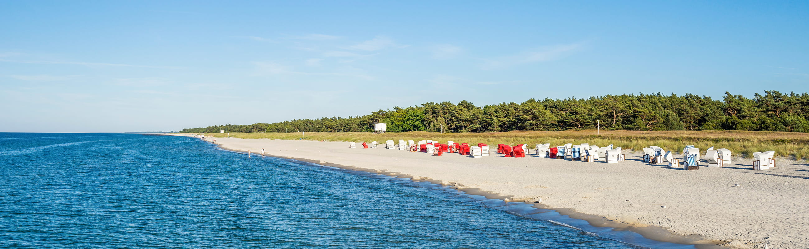 Weißer Sandstrand in Prerow mit bunten Strandkörben, blauem Meer und grünem Küstenwald.