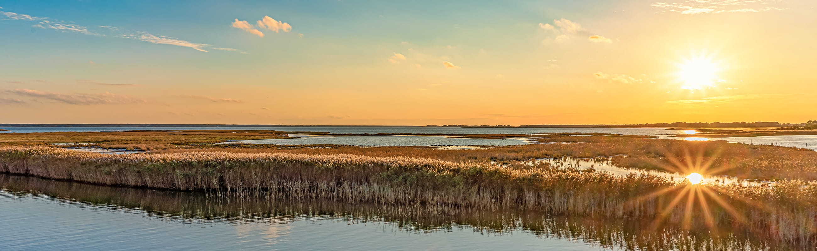 Sonnenuntergang über der ruhigen Boddenlandschaft, umgeben von Schilf und Wasser.